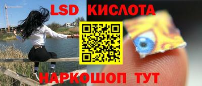 гашик Будённовск