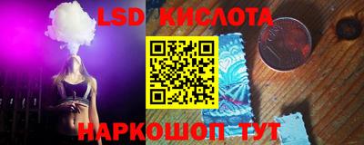 гашик Будённовск