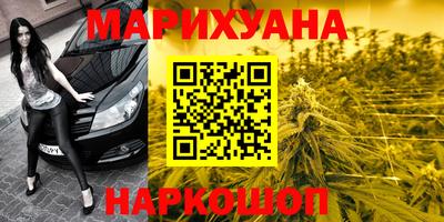 гашик Будённовск