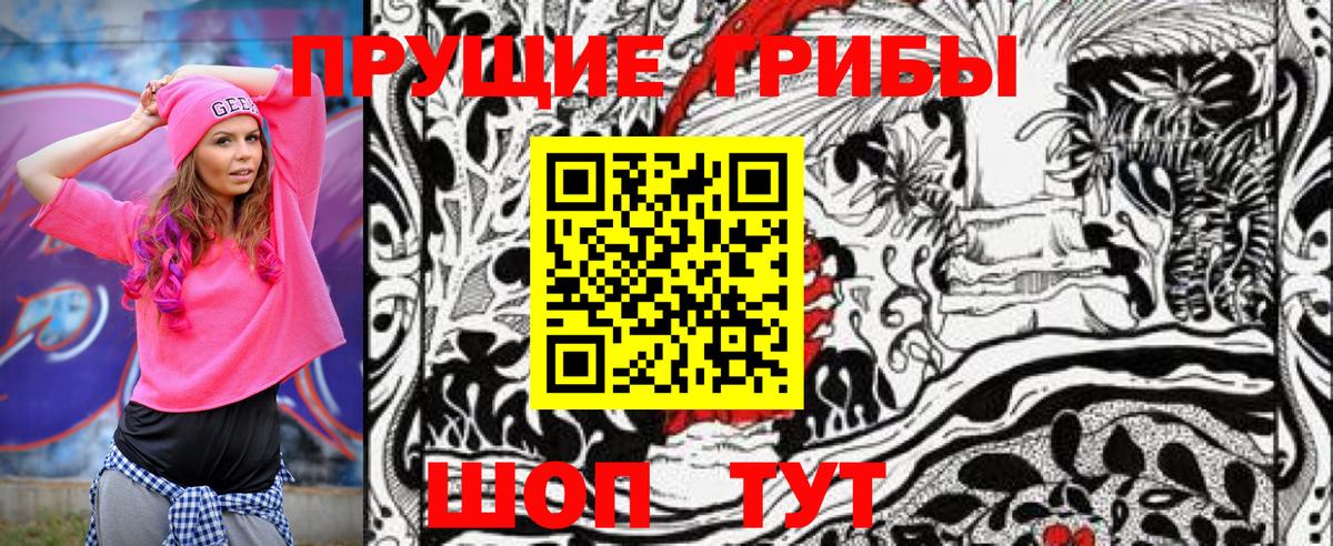 Галлюциногенные грибы Psilocybine cubensis  Вход с VPN  Геленджик 